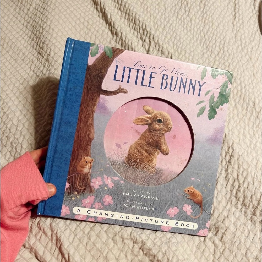Time to go Home Little Bunny Changing Picture Book